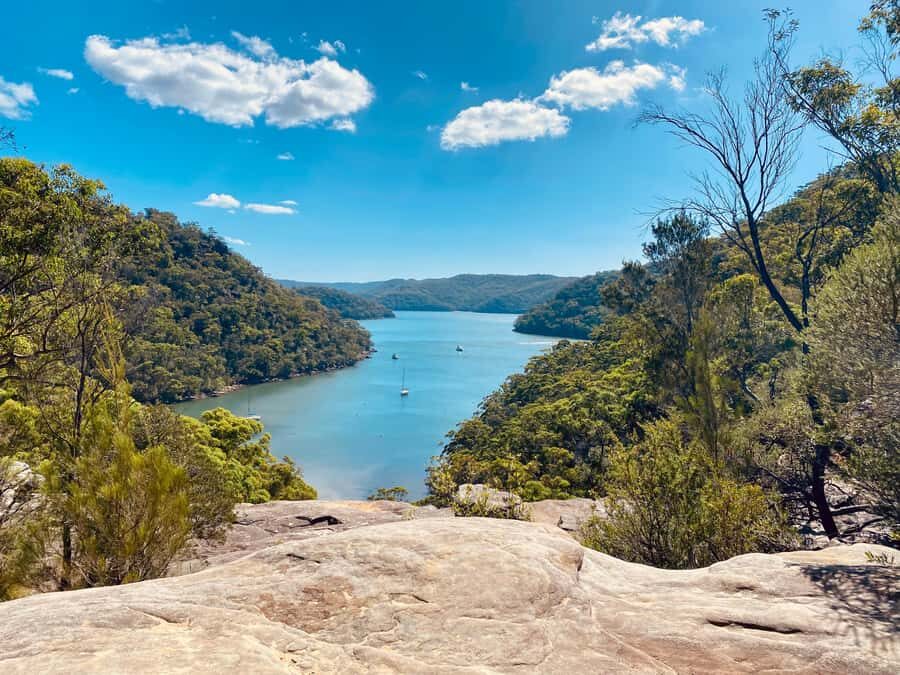 Sydney: Ku-ring-gai National Park with Hike, Beach & Picnic - The hike: sandstone tracks, viewpoints, and wildlife time