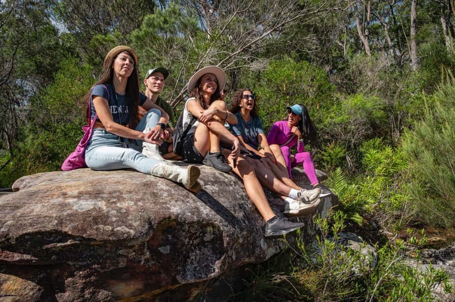 Sydney: Ku-ring-gai National Park with Hike, Beach & Picnic - Aboriginal rock engravings: a meaningful stop, not a detour
