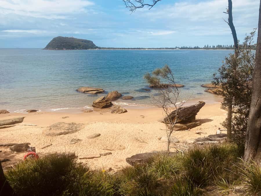 Sydney: Ku-ring-gai National Park with Hike, Beach & Picnic - Optional hidden beaches with Palm Beach views