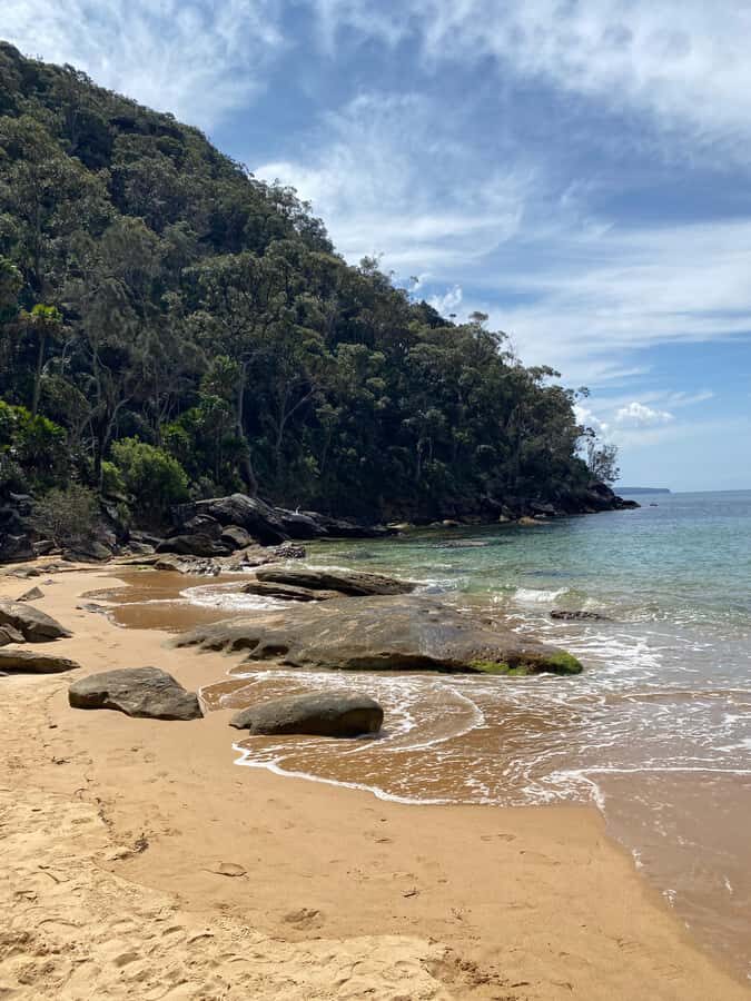 Sydney: Ku-ring-gai National Park with Hike, Beach & Picnic - Time on your feet: what moderate really means