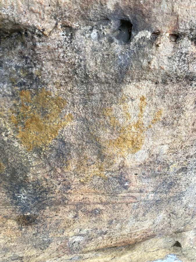 Sydney: Ku-ring-gai National Park with Hike, Beach & Picnic - What to bring so the day stays comfortable
