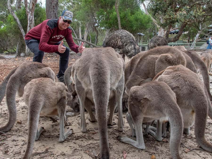 Sydney: Nature and Wildlife - Australia in One Day - Terrigal and Berowra Valley: wildlife viewing without the chaos