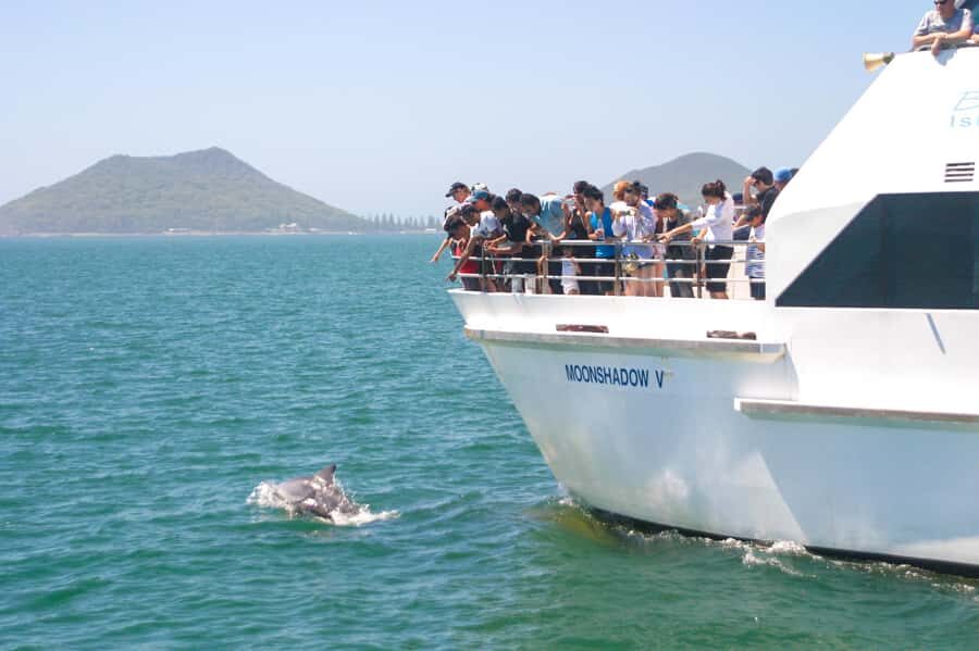 Sydney: Port Stephens Dolphin Cruise & Sandboarding Day Trip - The early coach run from Central Station and Furama Hotel