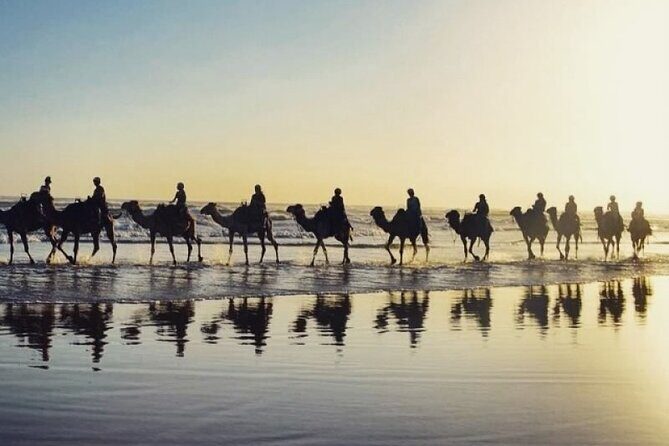 Sydney: Port Stephens Sandboarding, Dunes & Dolphin Cruise option - How the whole day flows: what you gain at each stop