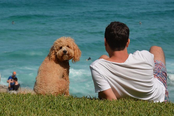 Sydney Private Experience with a Local 3-8hrs: Icons & Gems - Picking the Right Length: 3 vs 8 Hours