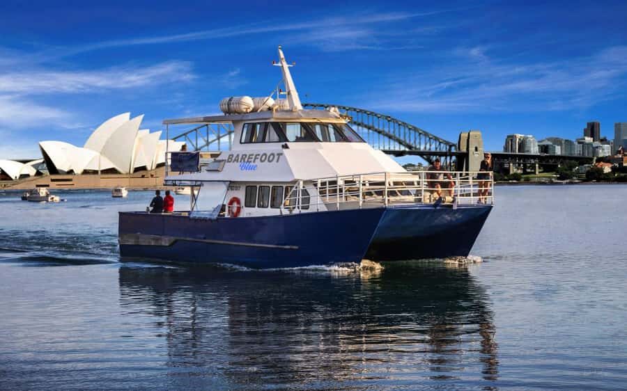 Sydney: Scenic Whale Watching Cruise - Whales Guaranteed - Getting the best whale views without feeling swallowed by the crowd