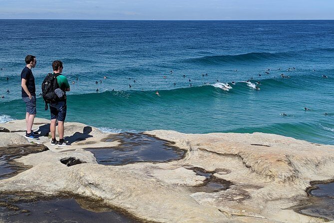 Sydney Secrets and Bondi Beach 4 HOUR MORNING PRIVATE TOUR - Art Gallery of New South Wales: a quick portrait of the city’s culture