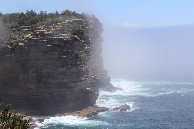 Sydney Shore Excursion: Half-Day Sydney City Highlights and Manly - Price and Value: What You’re Paying For at Around $100.41