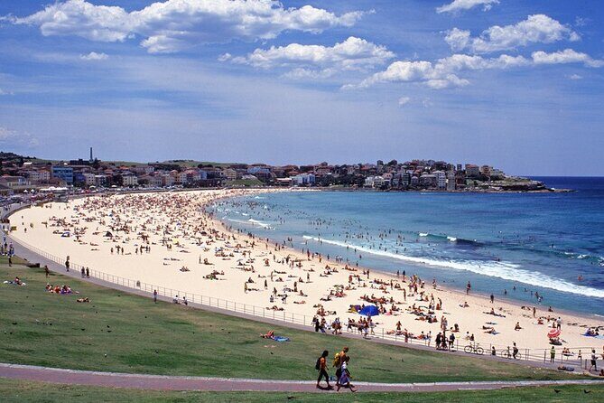 Sydney Shore Excursion: Half-Day Sydney City Highlights with Bondi Beach and Watsons Bay - The Rocks and Sydney Harbour Bridge: the easiest way to get your bearings
