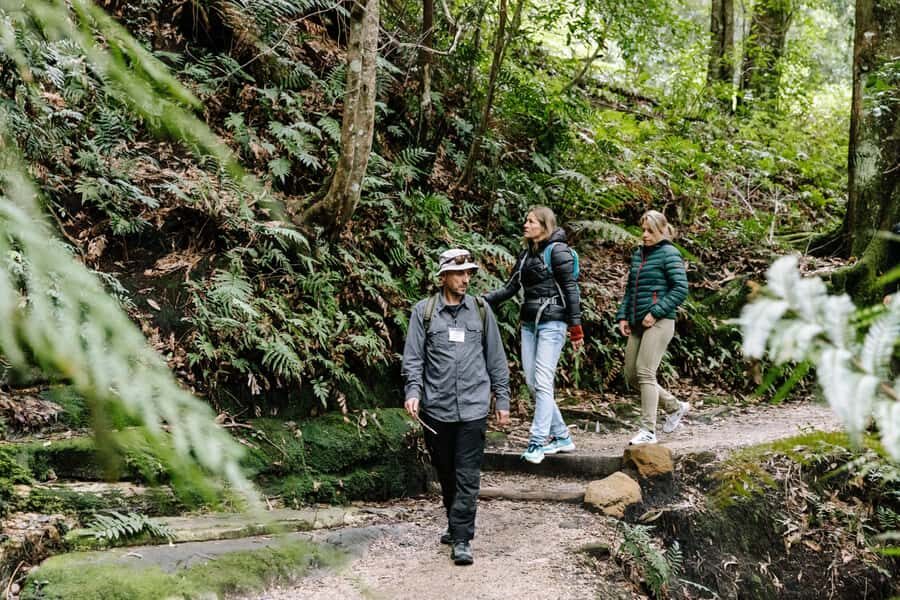 Sydney: Small Group Blue Mountains, Wildlife & Waterfalls - Key highlights at a glance
