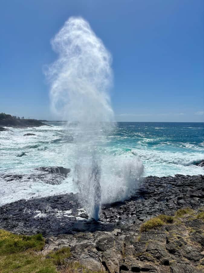 Sydney: Southern Highlands and South Coast Private Tour - Somersby Falls and the Calm Add-On Moment