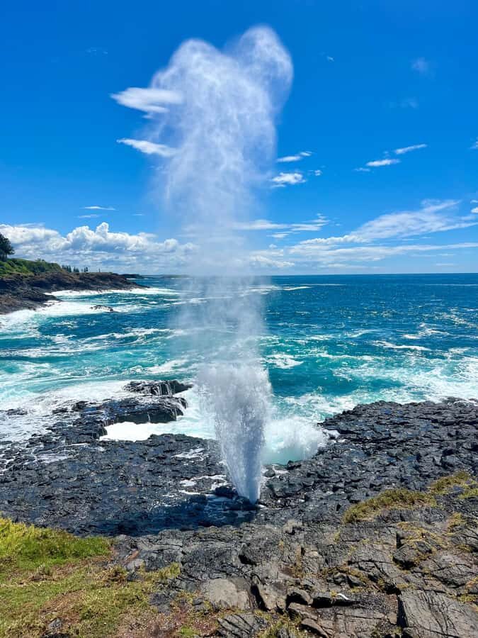 Sydney: Southern Highlands and South Coast Private Tour - Winery Time and Local Food Stops: The Day’s Flavor Break
