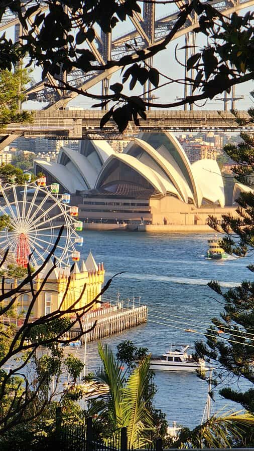 Sydney: Sunset Kayak - Opera & Harbour Bridge Tour (5p. max) - Guide style, group size, and safety on shifting water