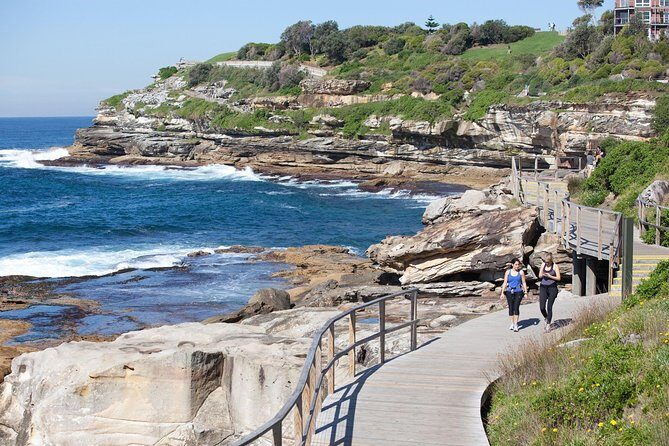 Sydney Uncovered Full-Day Private Tour - A private 8-hour Sydney highlights route: what it feels like
