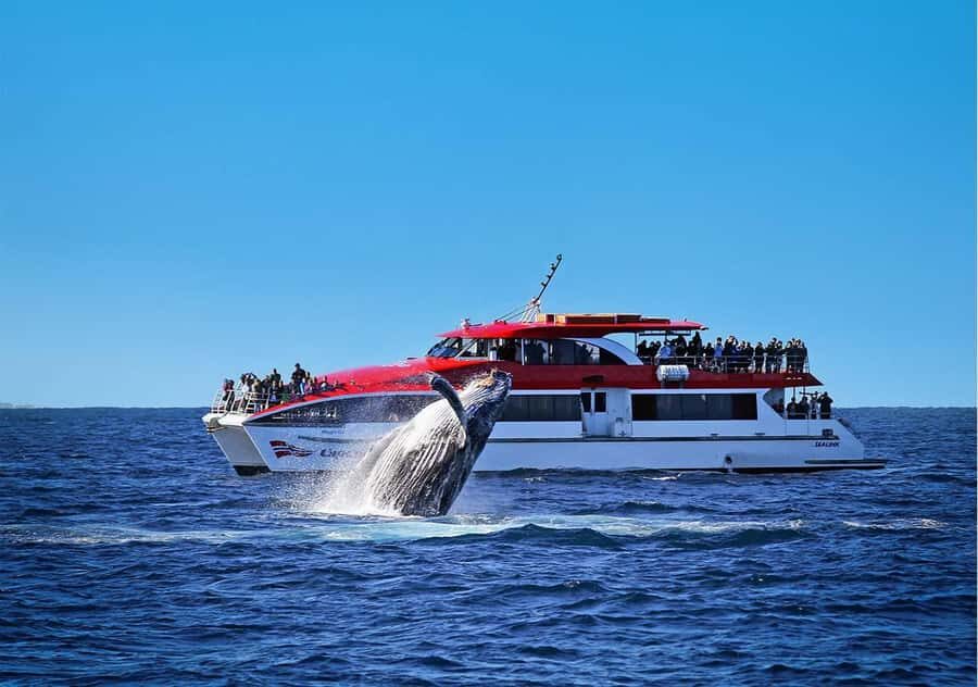 Sydney: Whale Watching Cruise and Taronga Zoo Package - From Circular Quay to the Harbour Entrance: the 2.5-Hour Cruise Plan
