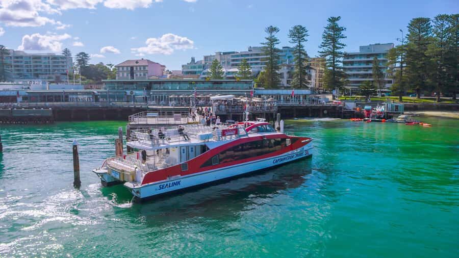 Sydney: Whale Watching & Hop On Hop Off Cruise Package - Realistic expectations: what makes this feel special on the day