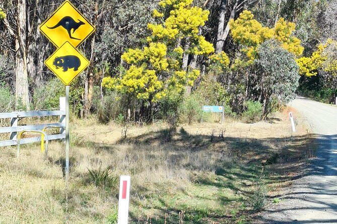 Sydney Wildlife Safari - Bowral lunch: a break that also teaches you what to notice