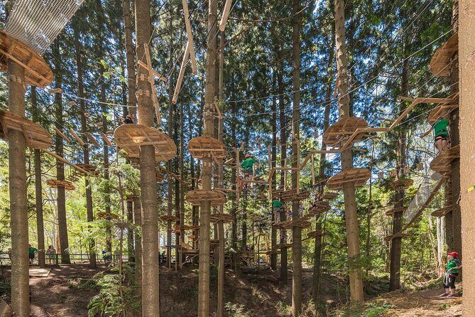 Treetops Adventure The Hills - Tree Ropes Course - Key highlights you’ll care about