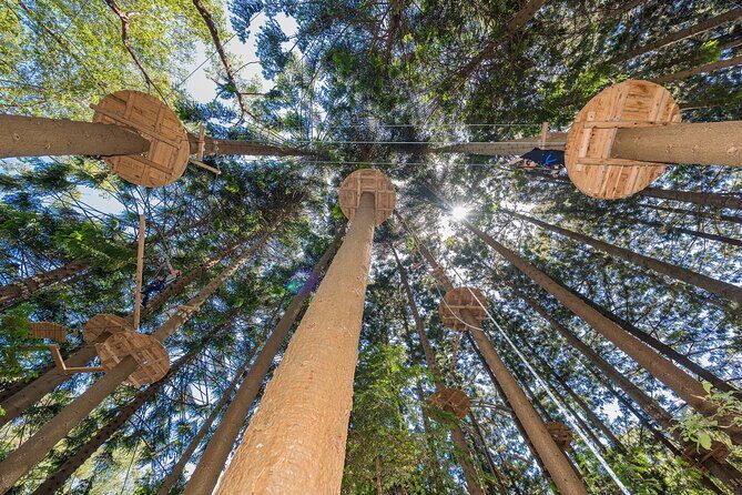 Treetops Adventure The Hills - Tree Ropes Course - Choosing between 9 courses and different difficulty levels
