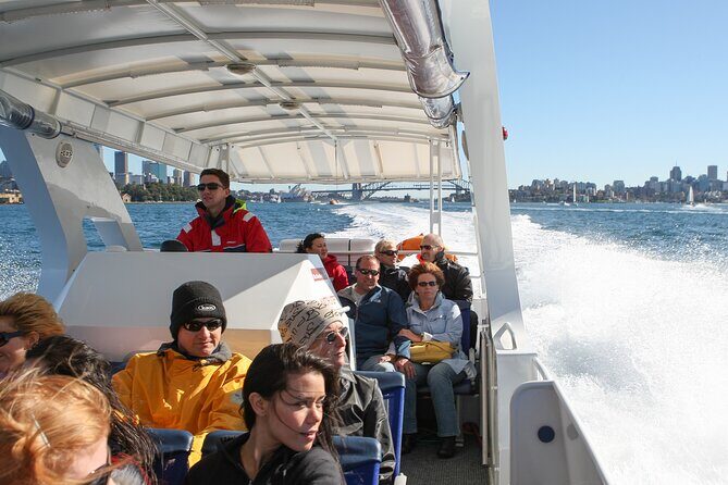 Whale Watching Adventure Cruise - The 10-minute sprint to open ocean: speed, safety, and where the trip happens